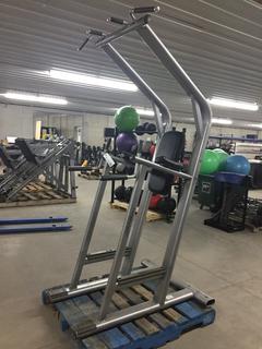 Life Fitness Signature Series Chin/Dip Leg Raise Station.