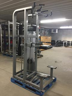 Life Fitness Model PSADCSE Assisted Dip/Chin Station, S/N PSADCSE003574.