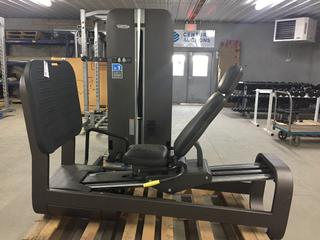 Life Fitness Seated Leg Press.