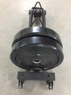 Horizontal Plate Rack c/w Assorted Weight Plates.