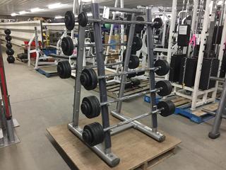 Life Fitness Barbell Rack c/w GPI 20-100Lbs Barbells, S/N 080710000233.