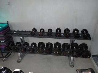 Life Fitness 2-Tier Dumbbell Rack c/w Assorted 5lb-75lb Dumbbells.