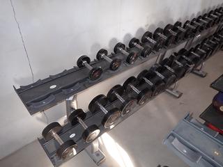 Life Fitness 2-Tier Dumbbell Rack c/w Assorted 7.5lb-65lb Dumbbells.