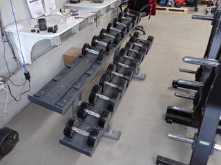 Life Fitness 2-Tier Dumbbell Rack c/w Assorted 7.5lb-70lb Dumbbells.