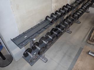 Life Fitness 2-Tier Dumbbell Rack c/w Assorted 10lb-60lb Dumbbells.
