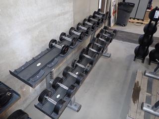 Life Fitness 2-Tier Dumbbell Rack c/w Assorted 7.5lb-65lb Dumbbells.