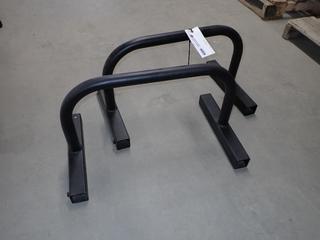 Set of Paralette Bars.
