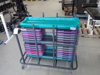 (2) Fitness Platforms c/w Adjustable Risers & Metal Rack.