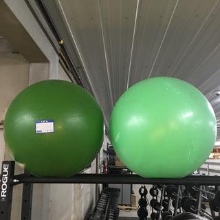 (2) Fitness Balls.