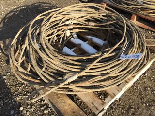 Quantity of 1/2" Steel Slings Various Lengths Up To 30'.