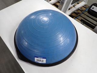 Bosu Balance Trainer.