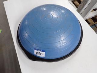Bosu Balance Trainer.