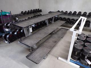 Hammer Strength Model FW-DR3 3-Tier Storage Rack, S/N FW-DR3512.