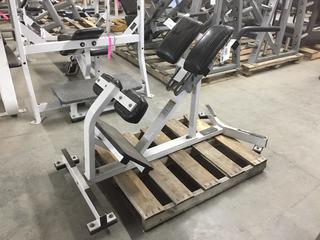 Hammer Strength Back Extension.
