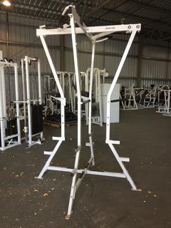 Hammer Strength 4-Station Chin/Dip/AB Machine.