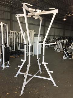 Hammer Strength 4-Station Chin/Dip/AB Machine.