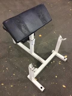 Lever Preacher Curl Bench.