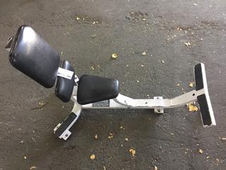Hammer Strength Stationary Utility Bench.