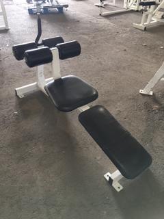 Hammer Strength Decline Ab Bench.