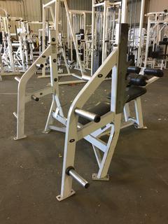 Hammer Strength Decline Bench w/ Weight Rack, S/N 0668.