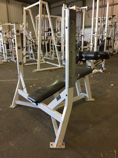 Hammer Strength Decline Bench w/ Weight Rack, S/N .