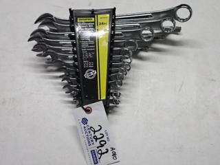 Shop Pro Professional Combination Wrench Sets, Incomplete.