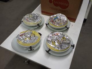 (4) Dome Ceiling Lights.