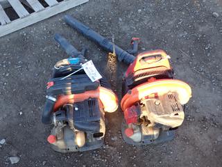 (2) Back Pack Blowers. *Requires Repair*.