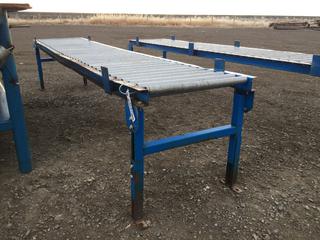 10' Roller Conveyor Section.
