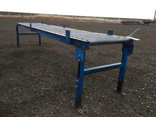10' Roller Conveyor Section.