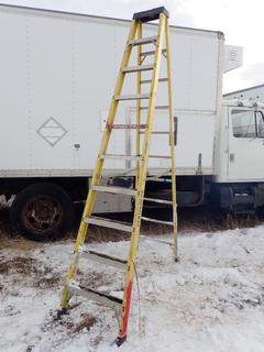 Featherlite 10ft Step Ladder