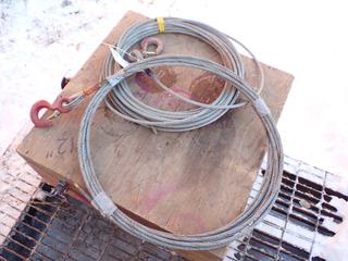 (2) Wire Ropes w/ Hooks