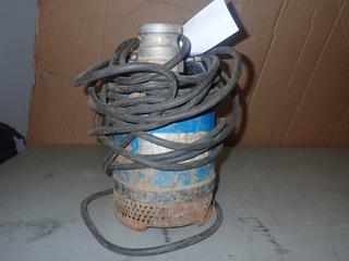 (1) Submersible Pump