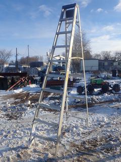 10ft Aluminum Ladder