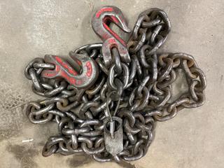 15ft Chain with Hooks.
