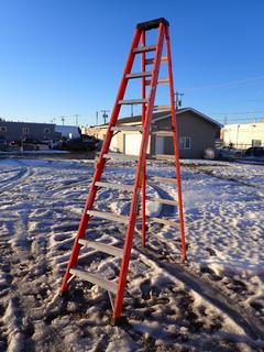 Sturdy 10' Fiberglass/Aluminum Step Ladder.