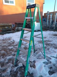 Werner 6' Fiberglass/Aluminum Step Ladder.