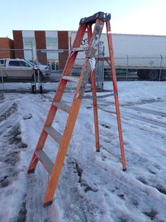 Lite Products 6' Fiberglass/Aluminum Step Ladder.