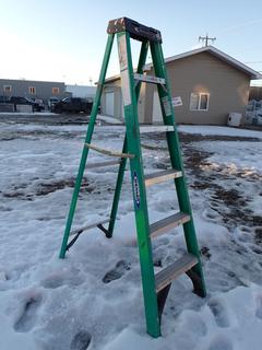 Werner 6' Fiberglass/Aluminum Step Ladder.