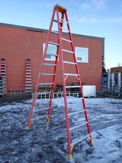 Werner 12' Fiberglass/Aluminum Step Ladder.