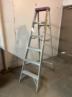 Werner 6' Aluminum Step Ladder.