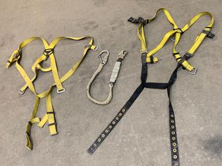 (2) Fall Protection Harnesses & (1) Lanyard.