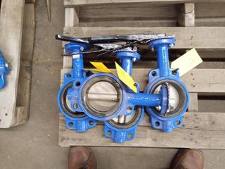 (4) 4" Butterfly Valve, BI-Toro, Cast Iron Body, 316SS Shaft, Disc CF8M, EPDM Seat, Class 150