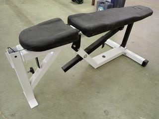 Northern Lights Adjustable Workout Bench.