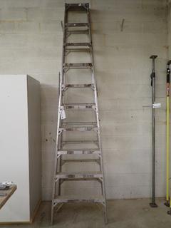 10' Aluminum Ladder.