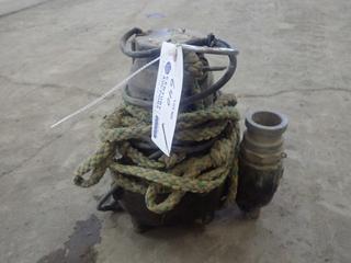 Everbilt Model HDCSS50 115V 2in Submersible Pump