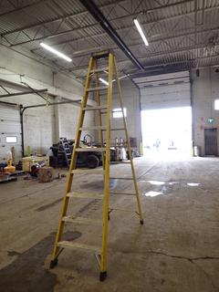 Featherlite FL-3010-0 10ft Step Ladder