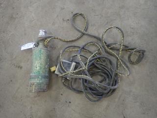 2in Submersible Pump C/w Power Cord And Switch Box