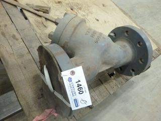 4 600 RF ALTA Y-Strainer NYF600 WCB *Note: Reconditioned*
