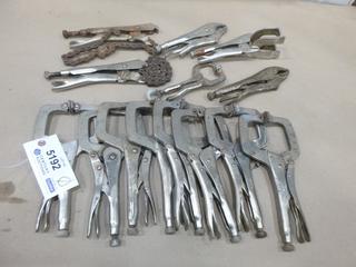 Qty of Vise Grips (F-1)